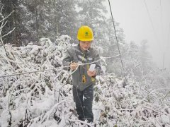 <b>国网会同县供电公司：线路覆冰监测 风雪无惧保供电</b>