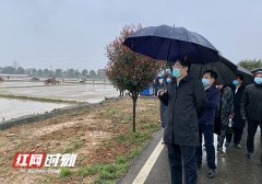 杜家毫赴岳阳调研春耕生产工作