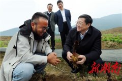 杜家毫在湘西州调研：坚决夺取疫情防控和脱贫攻坚双胜利