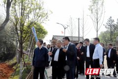 湖南省人大常委会调研民生实事项目人大代表票决制工作