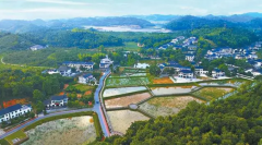 谭仲池：清溪村里忆立波（致敬革命前辈）