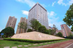“盐业湘军”转型记