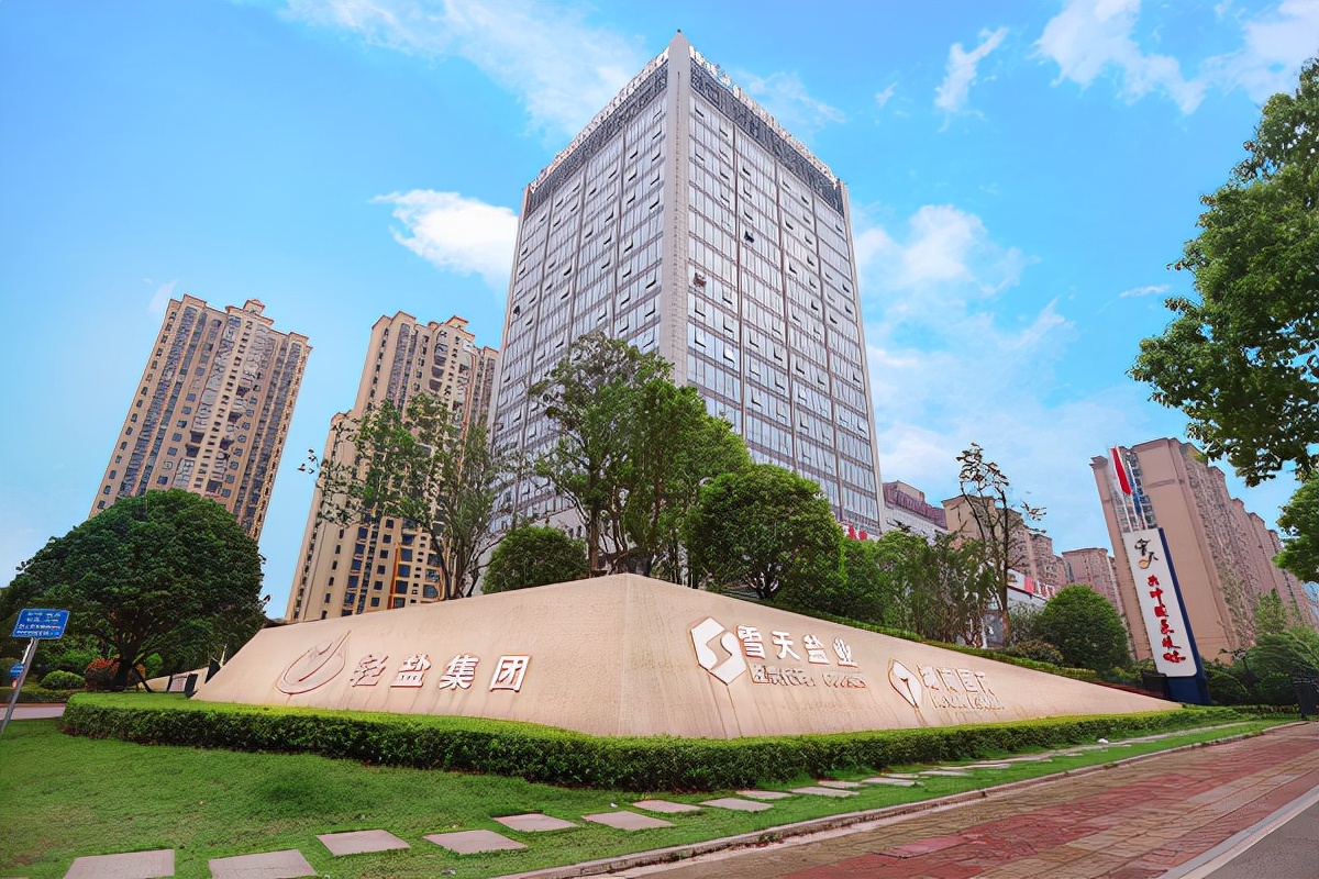 “盐业湘军”转型记